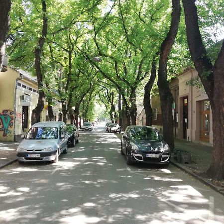 Apartman Park Subotica Bagian luar foto