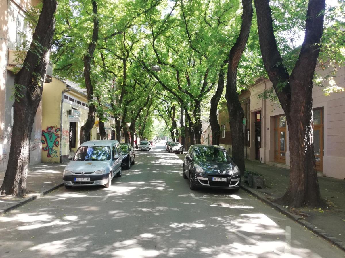Apartman Park Subotica Bagian luar foto